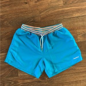 Chubbies 5 Inches Men's Lined Swim Trunks